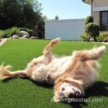 Alfombra de césped artificial para mascotas para cachorros